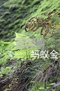 蚂蚁金宝逾期会怎么样