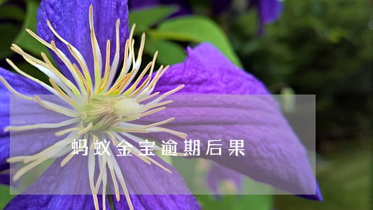 蚂蚁金宝逾期后果 蚂蚁金宝逾期后果