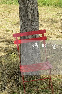 蚂蚁金服信用代款逾期