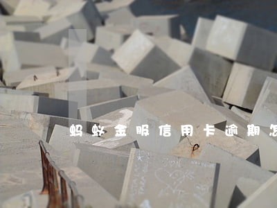 蚂蚁金服信用卡逾期怎么办 蚂蚁金服信用卡逾期怎么办