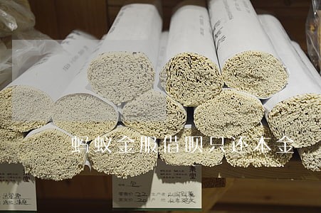 蚂蚁金服借呗只还本金 蚂蚁金服借呗只还本金