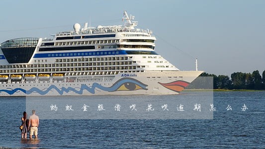 蚂蚁金服借呗花呗逾期怎么办 蚂蚁金服借呗花呗逾期怎么办