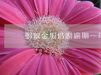 蚂蚁金服借呗逾期一年