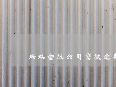 蚂蚁金服公司贷款逾期 蚂蚁金服公司贷款逾期