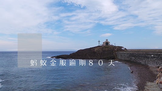 蚂蚁金服逾期80天 蚂蚁金服逾期80天