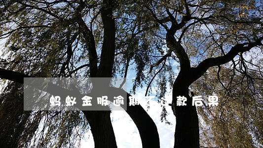 蚂蚁金服逾期不还款后果 蚂蚁金服逾期不还款后果