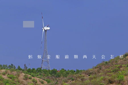 蚂蚁金服逾期两天会怎样 蚂蚁金服逾期两天会怎样