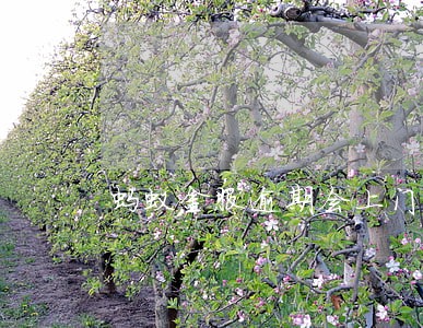 蚂蚁金服逾期会上门调查 蚂蚁金服逾期会上门调查