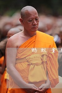 蚂蚁金服逾期会怎么处理 蚂蚁金服逾期会怎么处理