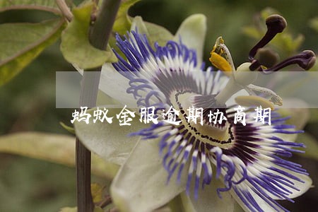 蚂蚁金服逾期协商期 蚂蚁金服逾期协商期