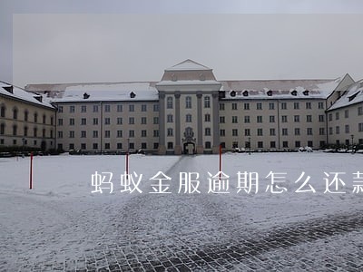 蚂蚁金服逾期怎么还款 蚂蚁金服逾期怎么还款