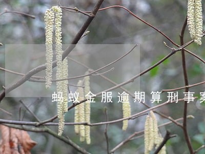 蚂蚁金服逾期算刑事案件吗 蚂蚁金服逾期算刑事案件吗