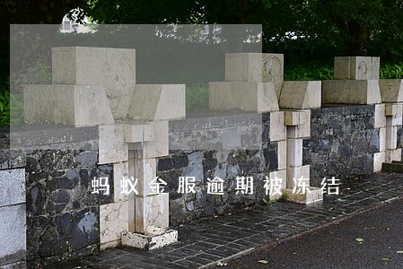 蚂蚁金服逾期被冻结