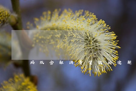 蚂蚁金融消费贷款的逾期率 蚂蚁金融消费贷款的逾期率