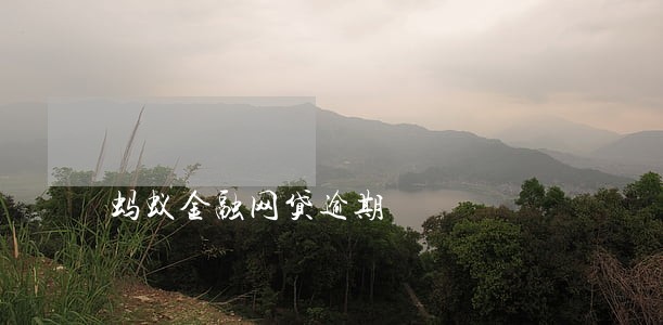 蚂蚁金融网贷逾期 蚂蚁金融网贷逾期