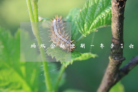 蚂蚁金融逾期一年多了会怎么样 蚂蚁金融逾期一年多了会怎么样