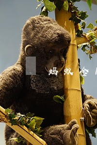 蚂蚁金融逾期上门是真的吗 蚂蚁金融逾期上门是真的吗