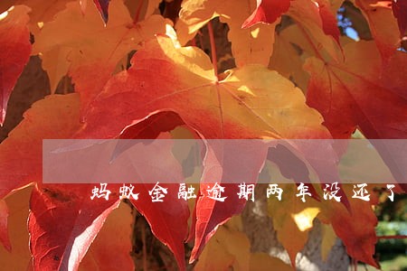 蚂蚁金融逾期两年没还了 蚂蚁金融逾期两年没还了