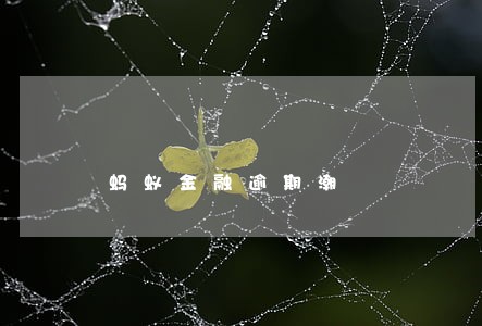 蚂蚁金融逾期潮 蚂蚁金融逾期潮