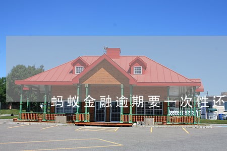 蚂蚁金融逾期要一次性还 蚂蚁金融逾期要一次性还