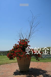 蚂蚁金融逾期说走访