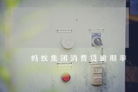 蚂蚁集团消费贷逾期率