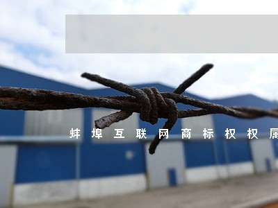 蚌埠互联网商标权权属纠纷律师 蚌埠互联网商标权权属纠纷律师
