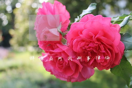 蚌埠五河找刑事律师 蚌埠五河找刑事律师