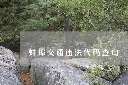 蚌埠交通违法代码查询 蚌埠交通违法代码查询