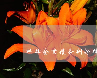 蚌埠企业债务纠纷律师 蚌埠企业债务纠纷律师