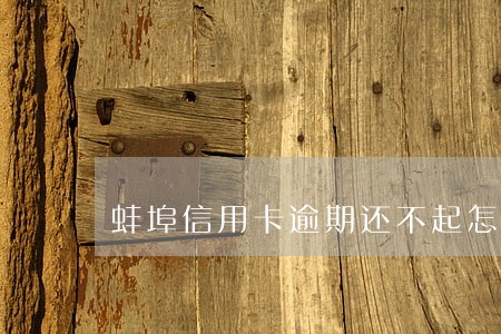 蚌埠信用卡逾期还不起怎么办