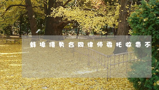 蚌埠债务合同律师委托收费不 蚌埠债务合同律师委托收费不