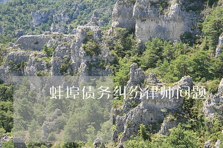 蚌埠债务纠纷律师问题 蚌埠债务纠纷律师问题