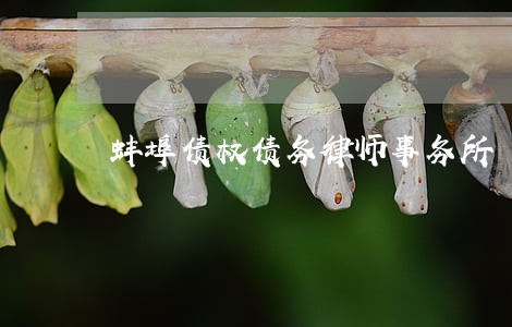 蚌埠债权债务律师事务所 蚌埠债权债务律师事务所