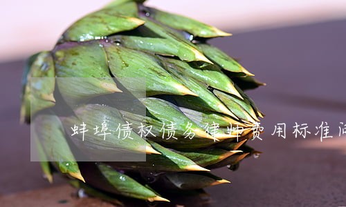 蚌埠债权债务律师费用标准问题 蚌埠债权债务律师费用标准问题