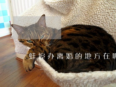 蚌埠办离婚的地方在哪里 蚌埠办离婚的地方在哪里