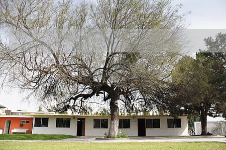 蚌埠司法学院 蚌埠司法学院
