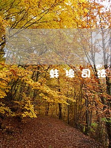 蚌埠司法局副局长单标