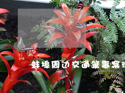 蚌埠周边交通肇事案律师委托咨询 蚌埠周边交通肇事案律师委托咨询
