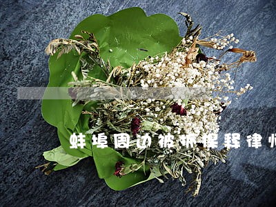 蚌埠周边被抓保释律师咨询 蚌埠周边被抓保释律师咨询