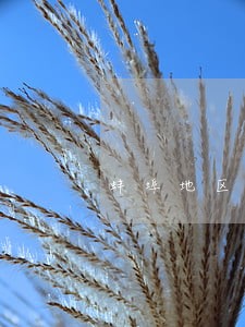 蚌埠地区专业工程款律师 蚌埠地区专业工程款律师
