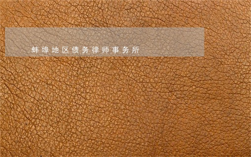 蚌埠地区债务律师事务所 蚌埠地区债务律师事务所