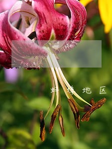 蚌埠地区债权债务律师事务所 蚌埠地区债权债务律师事务所