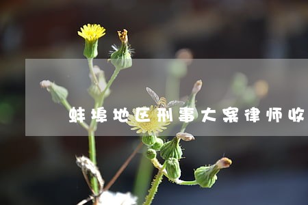 蚌埠地区刑事大案律师收费 蚌埠地区刑事大案律师收费