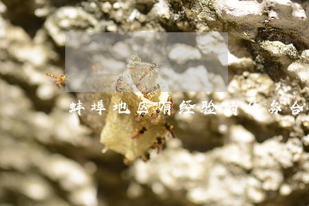 蚌埠地区有经验的债务合同律师 蚌埠地区有经验的债务合同律师