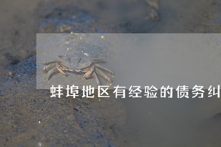 蚌埠地区有经验的债务纠纷律师