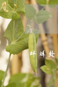 蚌埠处理精神病犯罪法律问题律师 蚌埠处理精神病犯罪法律问题律师