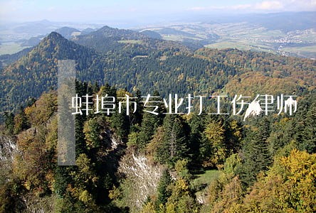 蚌埠市专业打工伤律师 蚌埠市专业打工伤律师