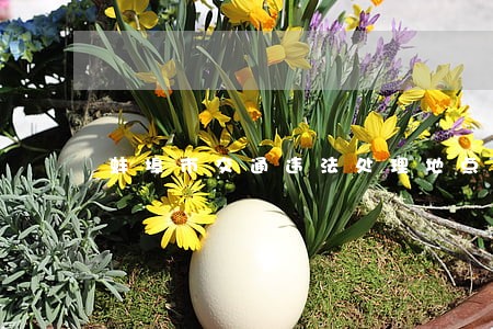 蚌埠市交通违法处理地点