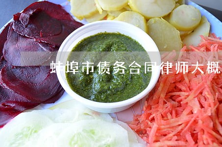 蚌埠市债务合同律师大概多少钱 蚌埠市债务合同律师大概多少钱
